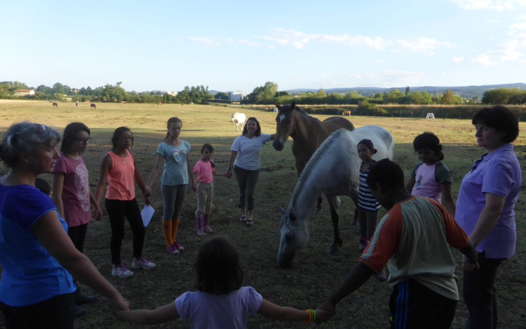 Vidéos