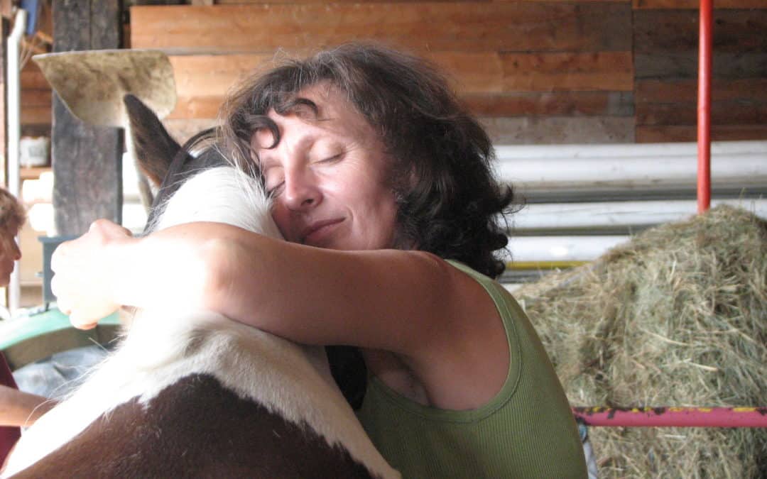 Module Biodynamique « Cheval »