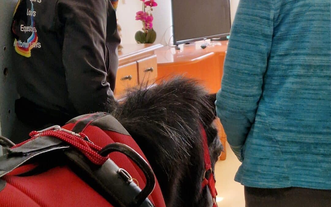 Japy au chevet des personnes les plus isolées