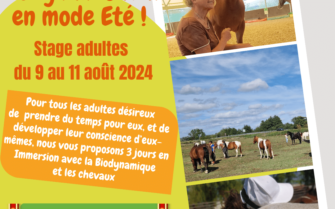 Stage adultes du 9 au 11 août 2024