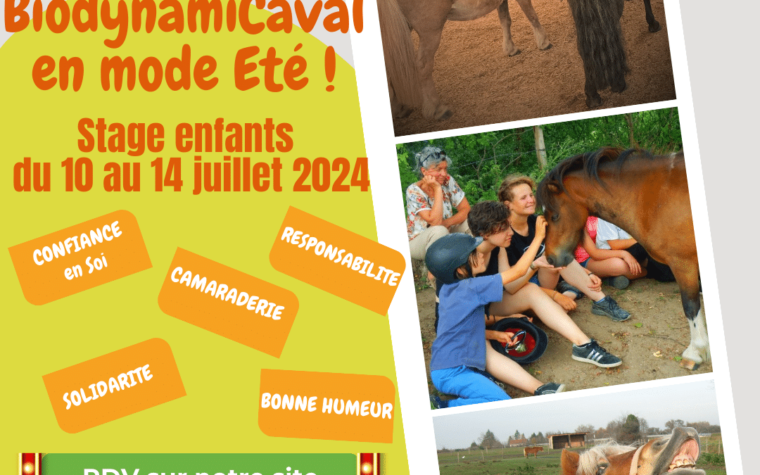 Stage enfants du 10 au 14 juillet 2024