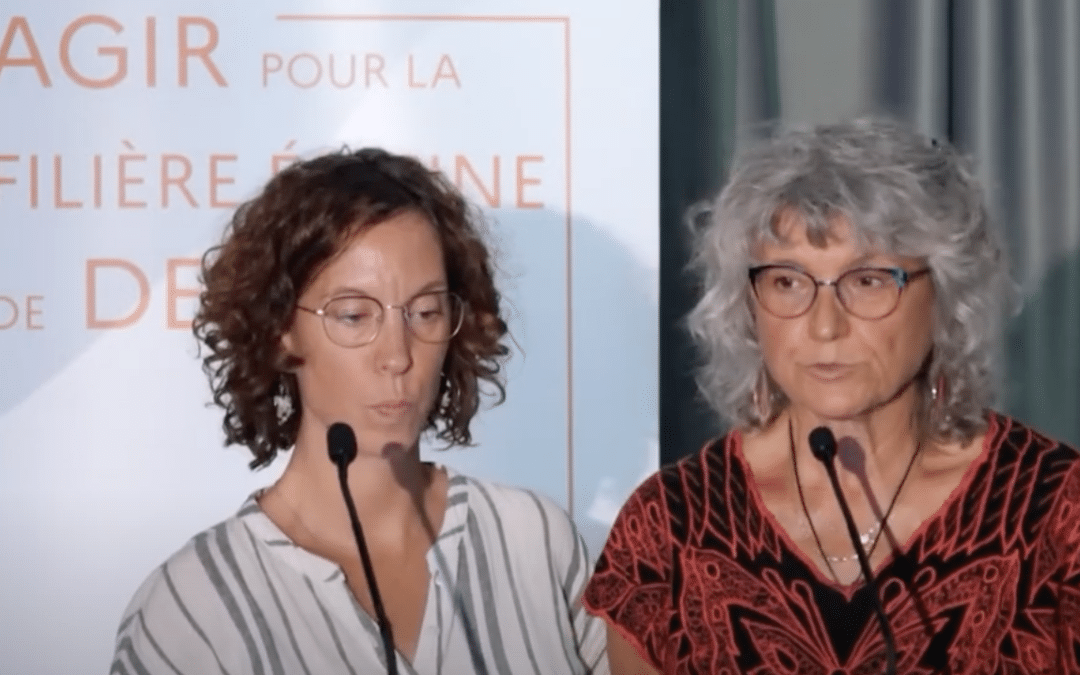Médiation équine et psychologie biodynamique
