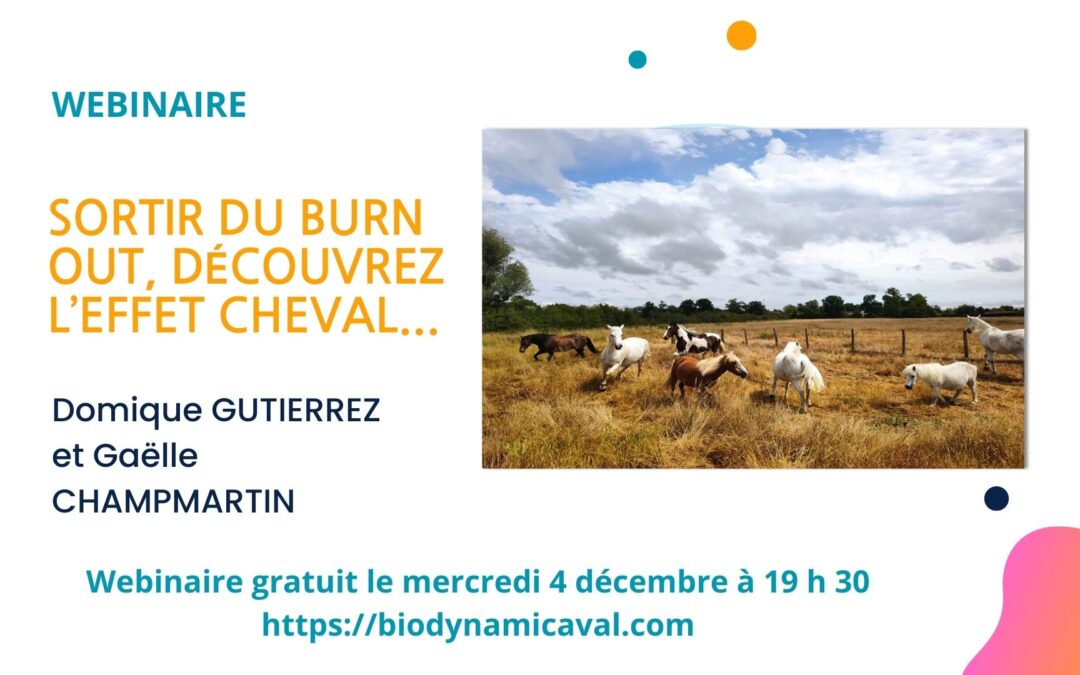 Webinaire sur le burn out