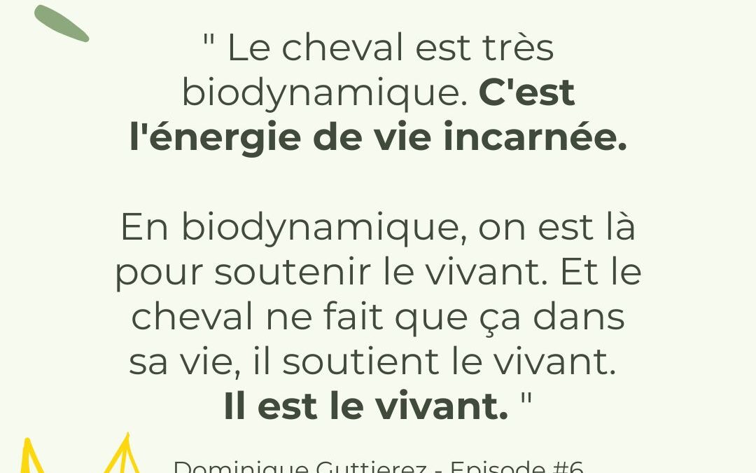 Nouveau podcast : des mots au corps